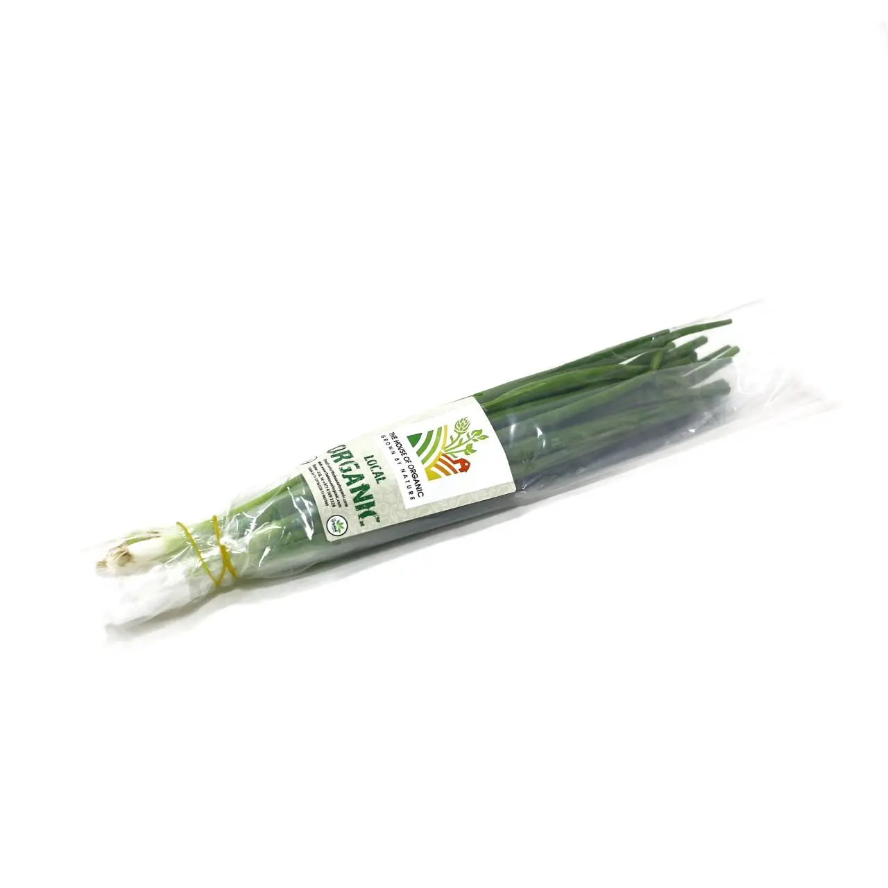 Organic Spring Onion 100g UAE